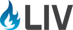 Life Safety Inspection Vault Logo
